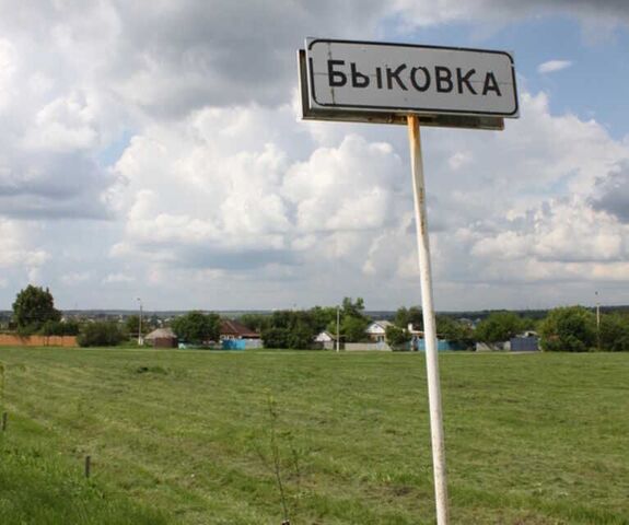 земля деревня Быковка фото
