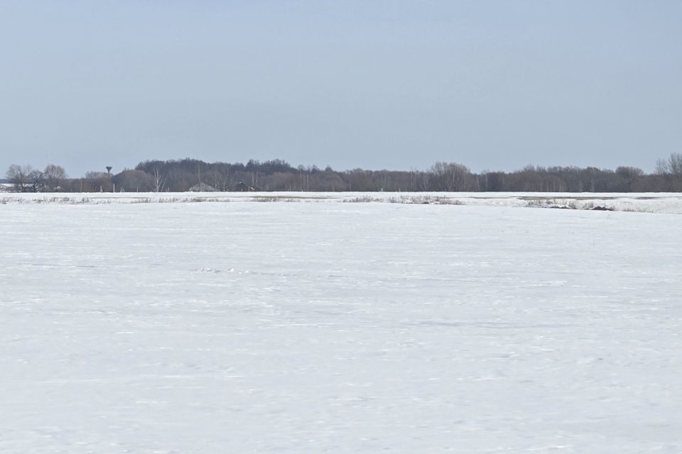 земля городской округ Раменский деревня Аргуново фото 7