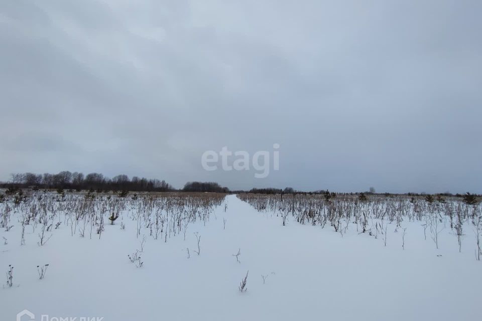 земля г Алапаевск ул Советская Алапаевск, муниципальное образование фото 2