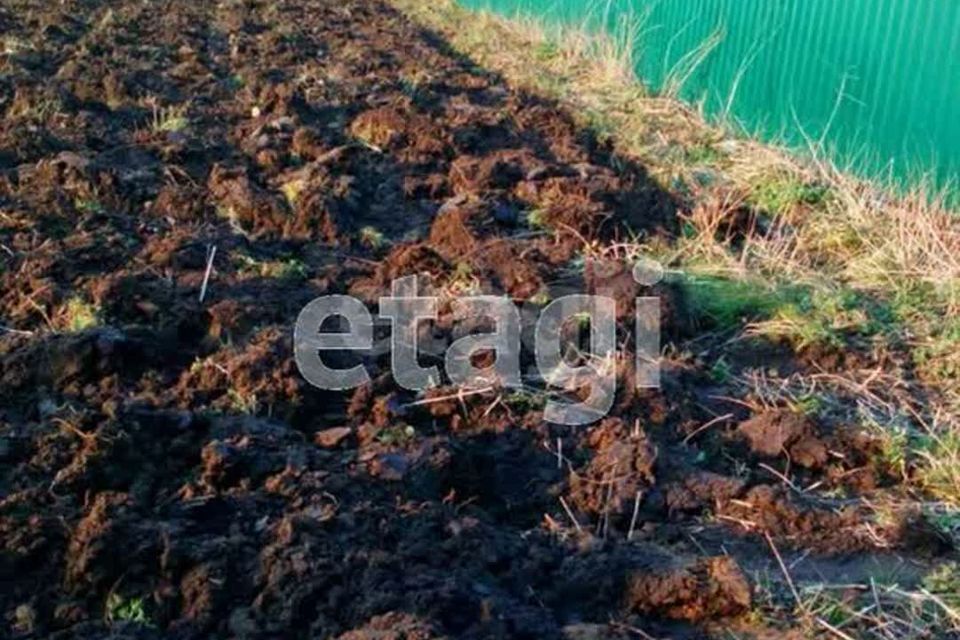 земля р-н Балтийский г Балтийск снт тер.Балтийский урожай-2 фото 2