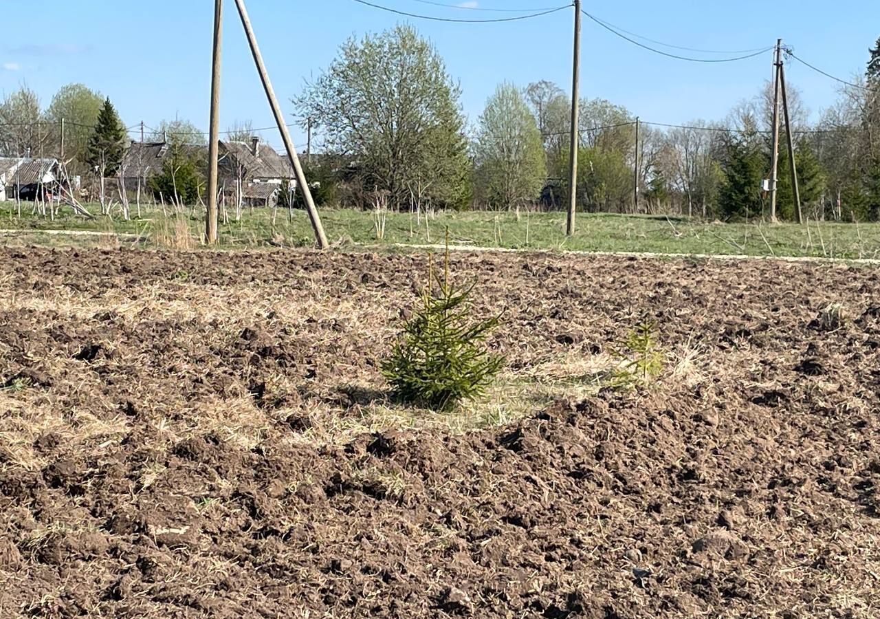 дом р-н Волосовский г Волосово Большеврудское сельское поселение фото 19