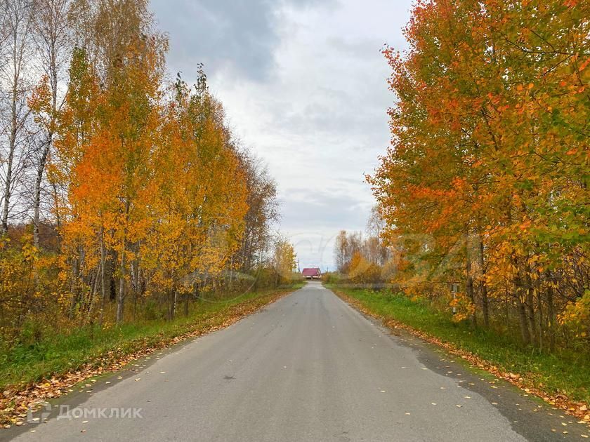 земля р-н Нижнетавдинский СНТ Геофизик 2 фото 9