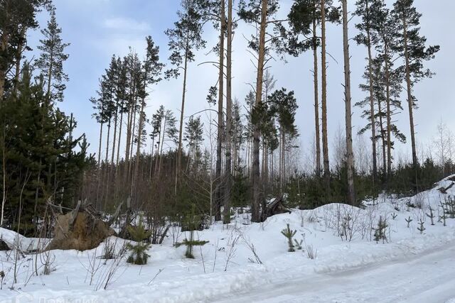 земля Кыштымский городской округ фото