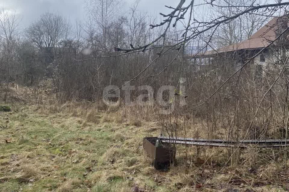 земля г Калининград городской округ Калининград, СТ Дружба-Девау фото 3