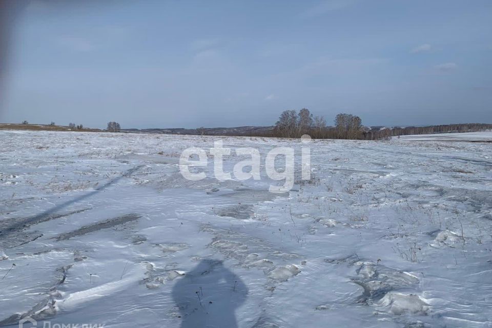 земля р-н Емельяновский деревня Старцево фото 4