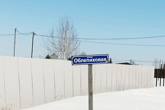 городской округ Бердск, Бердск фото
