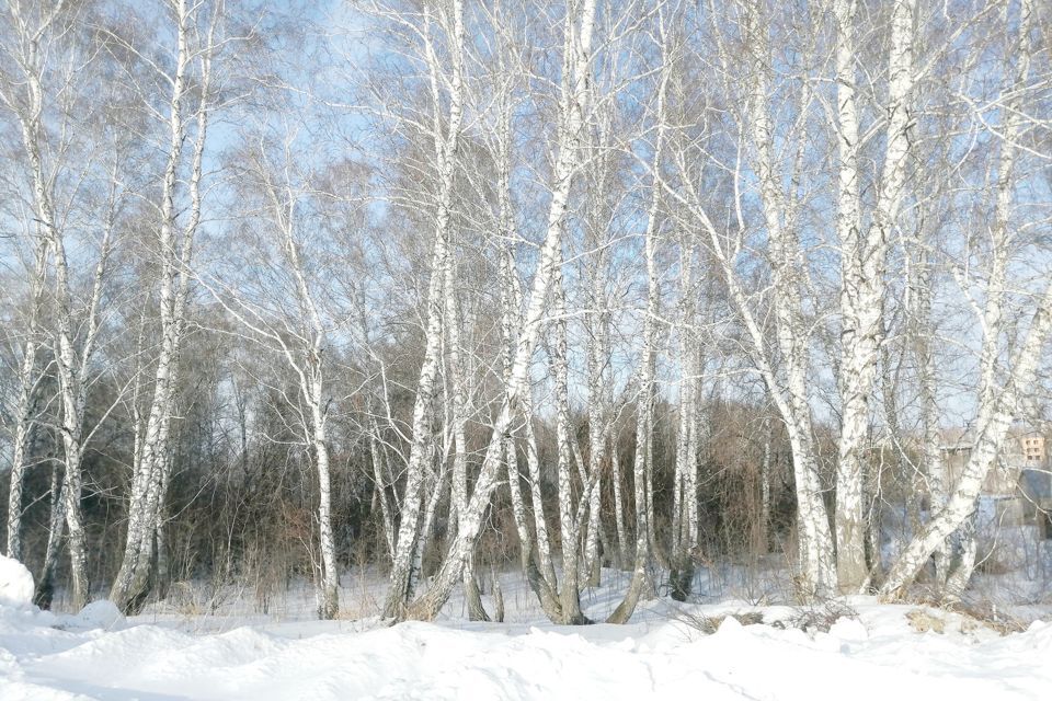 земля г Бердск снт Марьин Лог городской округ Бердск, 44-я улица, 2 фото 3