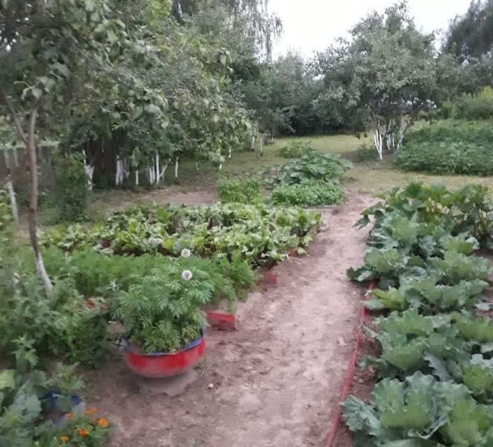 земля г Нижний Новгород снт Березка городской округ Бор, Озёрная улица фото 5