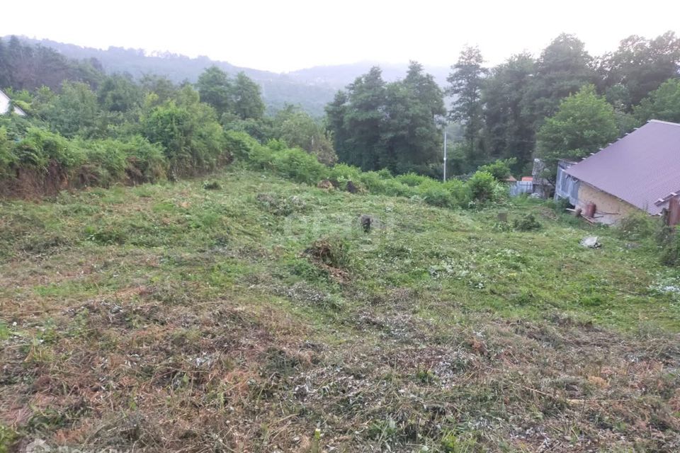 земля г Сочи с Верхнениколаевское городской округ Сочи, садоводческое товарищество СМП-603 Строитель фото 1