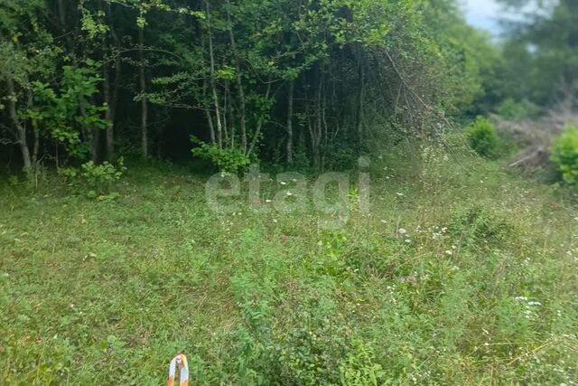 с Измайловка городской округ Сочи, СТ Педагог фото