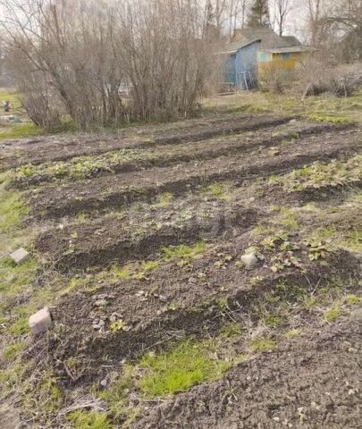 городской округ Ярославль, СНТ Мичуринец фото