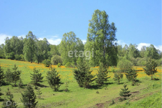 земля село Салганда фото