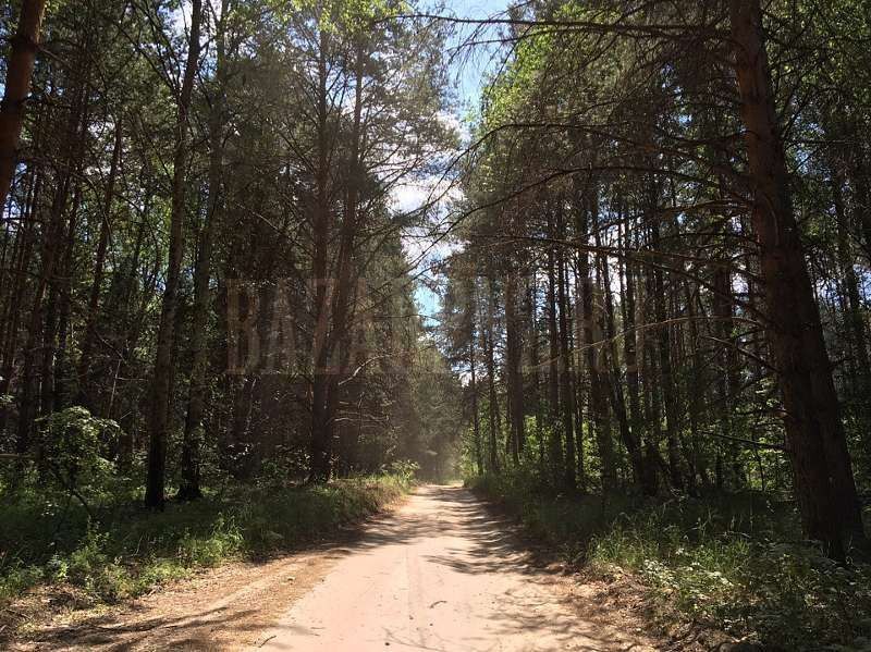 дом г Пенза городской округ Пенза, СДТ Домостроитель фото 1