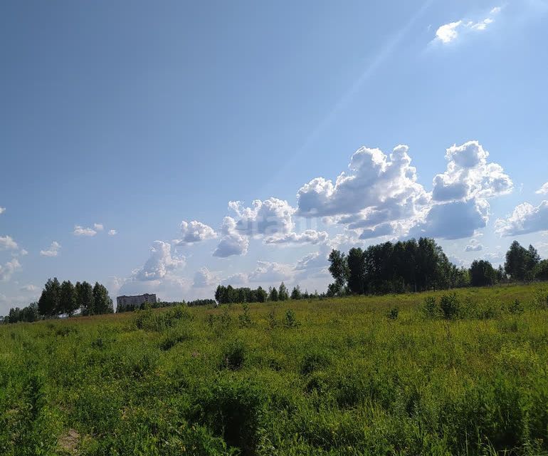 земля г Новосибирск садовое товарищество Олимпийское, городской округ Новосибирск фото 1