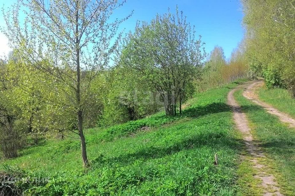 земля г Горно-Алтайск городской округ Горно-Алтайск, садоводческое некоммерческое товарищество Строитель фото 1