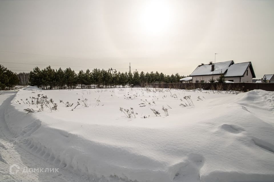 земля городской округ Бор, деревня Княжево фото 3