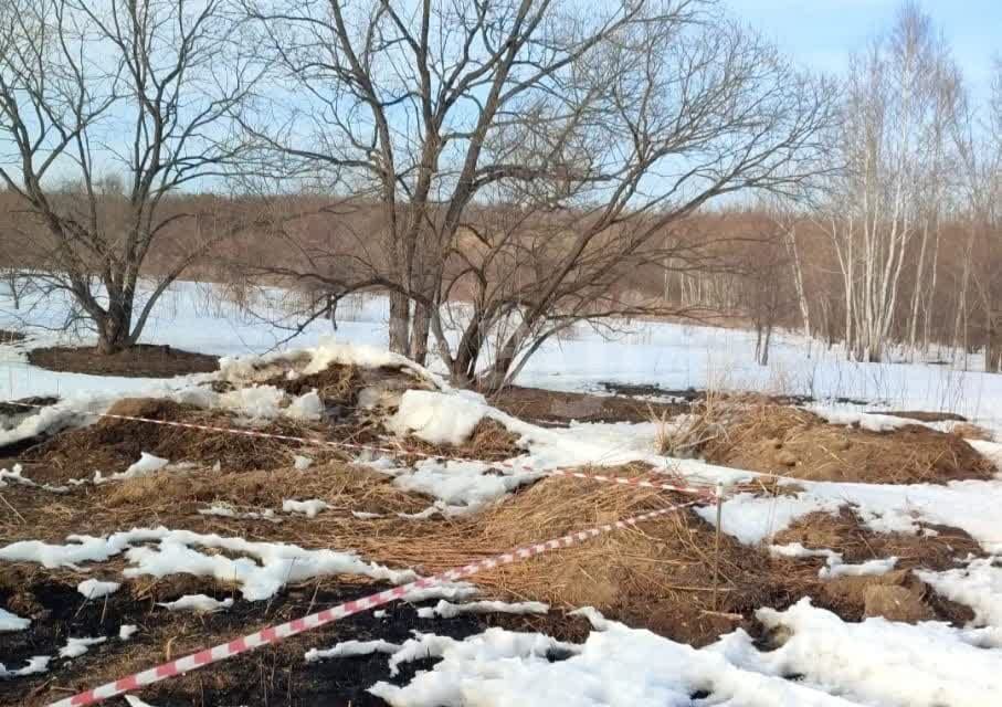 земля г Благовещенск село Верхнеблаговещенское, городской округ Благовещенск фото 3