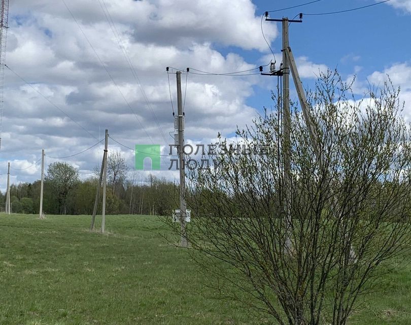 земля р-н Грязовецкий д Палкино ул Центральная фото 2