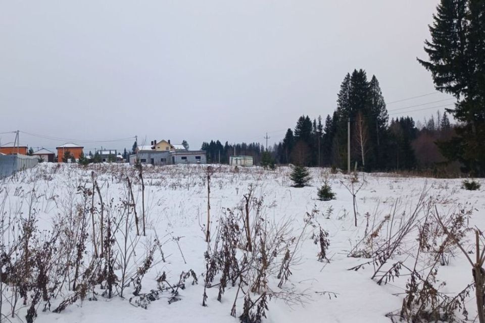 земля р-н Завьяловский с Завьялово ул Екатерининская фото 2