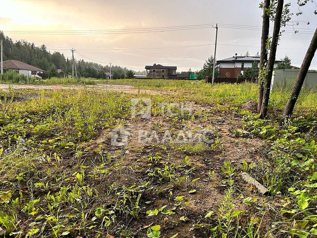 земля городской округ Щёлково д Шевелкино Шевелкино д. Каштановая ул фото 4