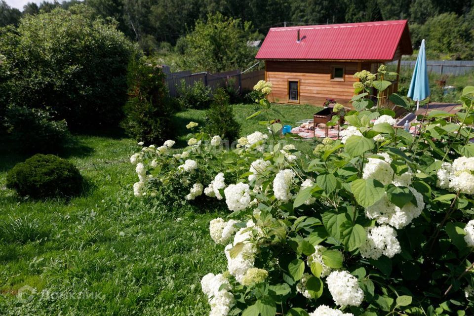 дом р-н Новосибирский некоммерческое садоводческое товарищество Нива фото 8