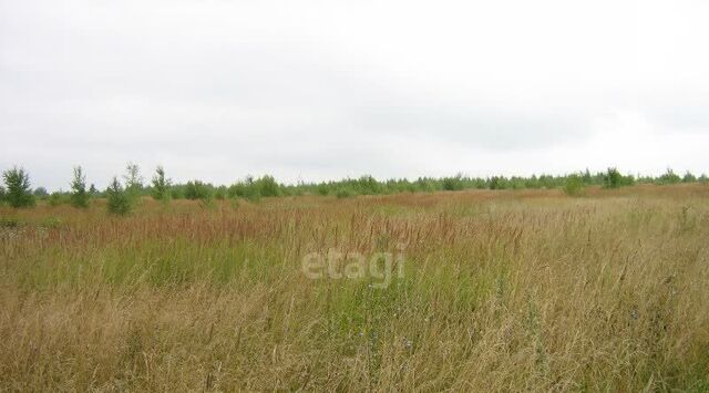 земля снт Эльбрус Пчегатлукайское с/пос, дачное товарищество, садовое фото