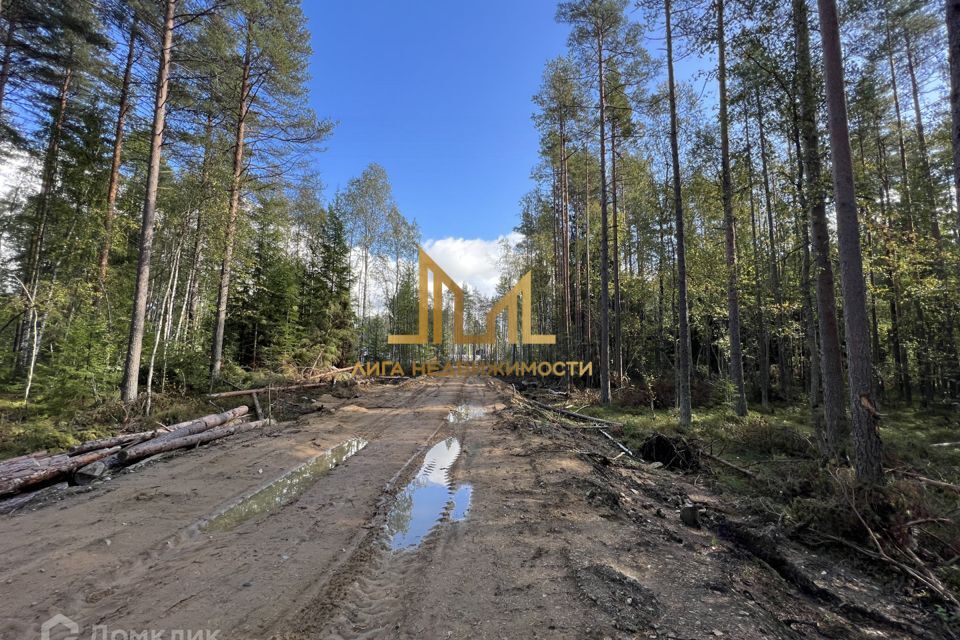 земля р-н Всеволожский Токсовское городское поселение фото 3