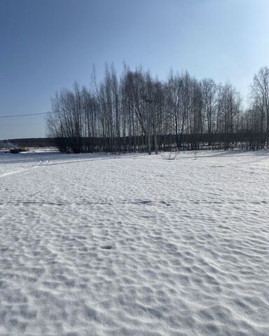 земля д Белая Рамень Пестяковское сельское поселение, Пестяки фото