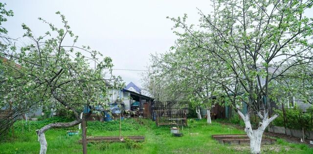 муниципальное образование, Васильево фото