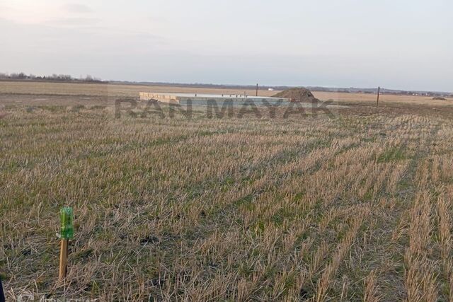 ул Маршала Василевского городской округ Майкоп фото