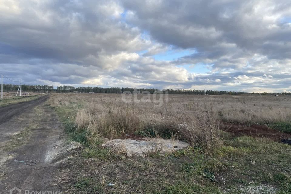 земля р-н Белгородский с Хохлово ул Юбилейная фото 4