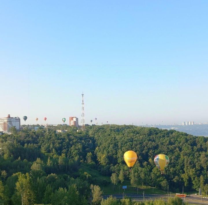 квартира г Нижний Новгород Горьковская ул Маршала Баграмяна 2 фото 13