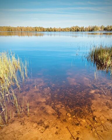 сельский пос. Кузьмияр, Лесная ул фото