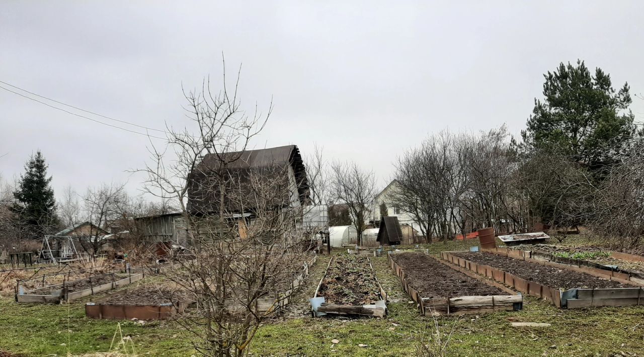 земля г Санкт-Петербург п Петро-Славянка снт тер.Красноармейское 50 метро Рыбацкое фото 3