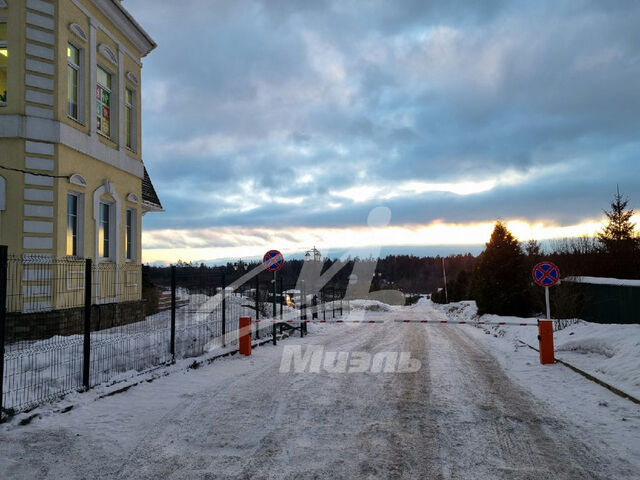 обл Московская фото