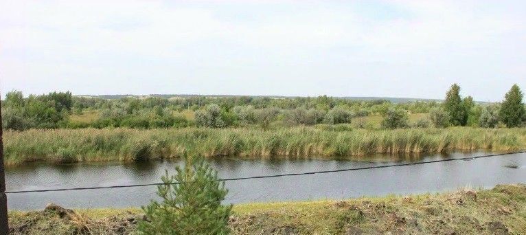 земля г Кинель фото 2