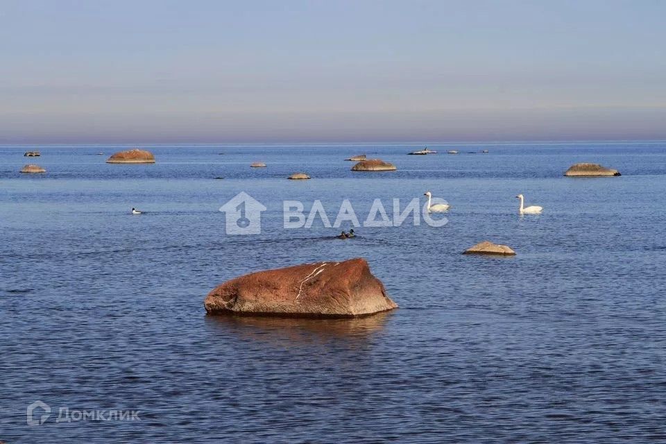 земля р-н Ломоносовский городской посёлок Лебяжье, Приморская улица фото 4