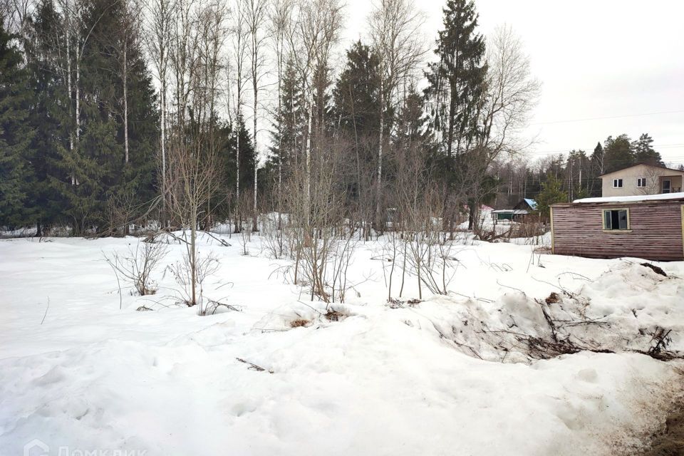 земля г Черноголовка городской округ Черноголовка, СНТ ЛЭП фото 4