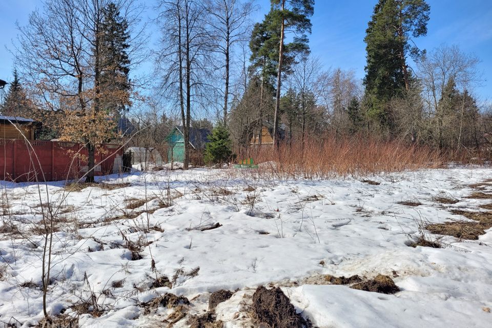 земля г Королев городской округ Королёв, Краснооктябрьская улица, 36 фото 2