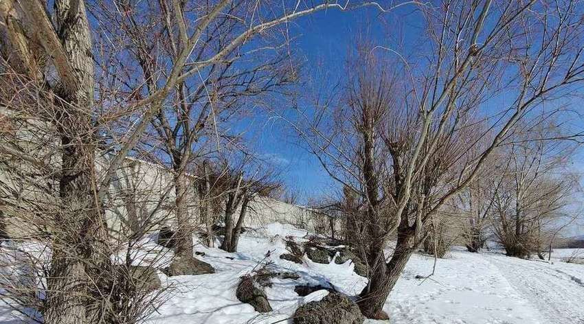 дом г Тольятти р-н Комсомольский ул Кооперативная фото 15