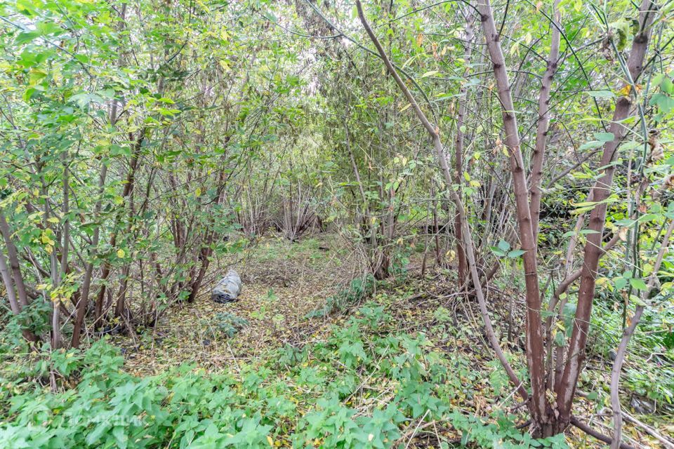 земля г Осинники ул Нижняя Площадка Осинниковский городской округ фото 1