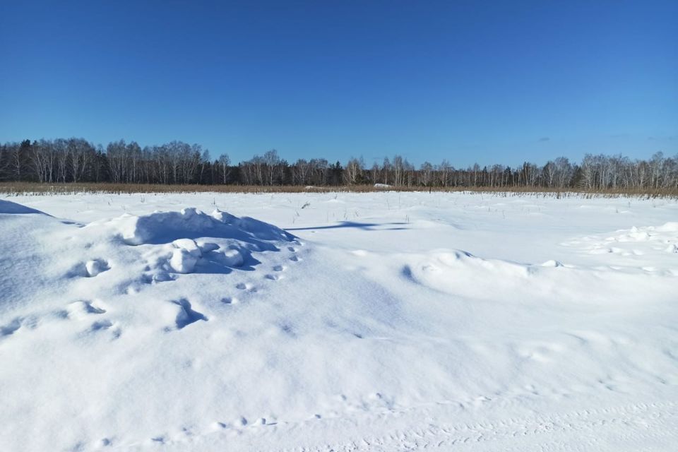 земля р-н Тюменский село Каменка фото 1