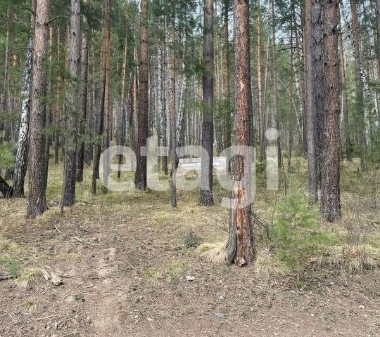 земля п Манский городской округ Дивногорск, Лесная улица фото