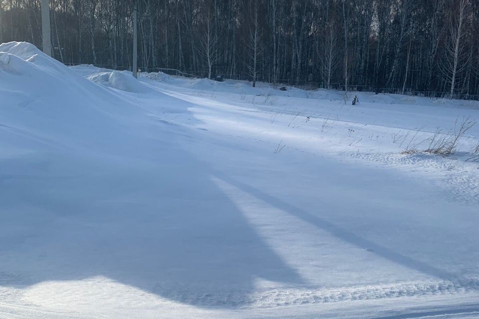 земля г Новосибирск ул Семьи Шамшиных городской округ Новосибирск фото 1