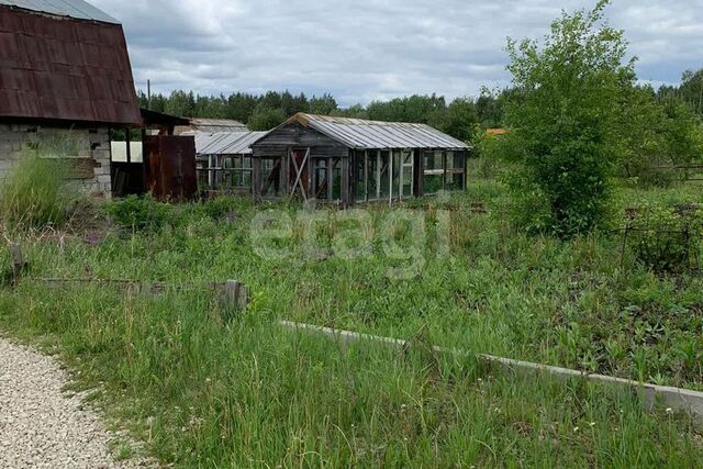 муниципальное образование Город Алапаевск, коллективный сад Восточный фото