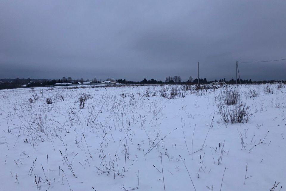 земля р-н Завьяловский деревня Русский Вожой фото 3