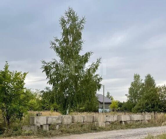 земля г Верещагино коллективный сад Вагонное Депо фото