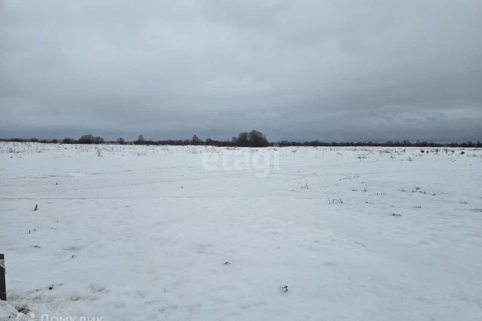 земля р-н Сыктывдинский село Выльгорт фото 2