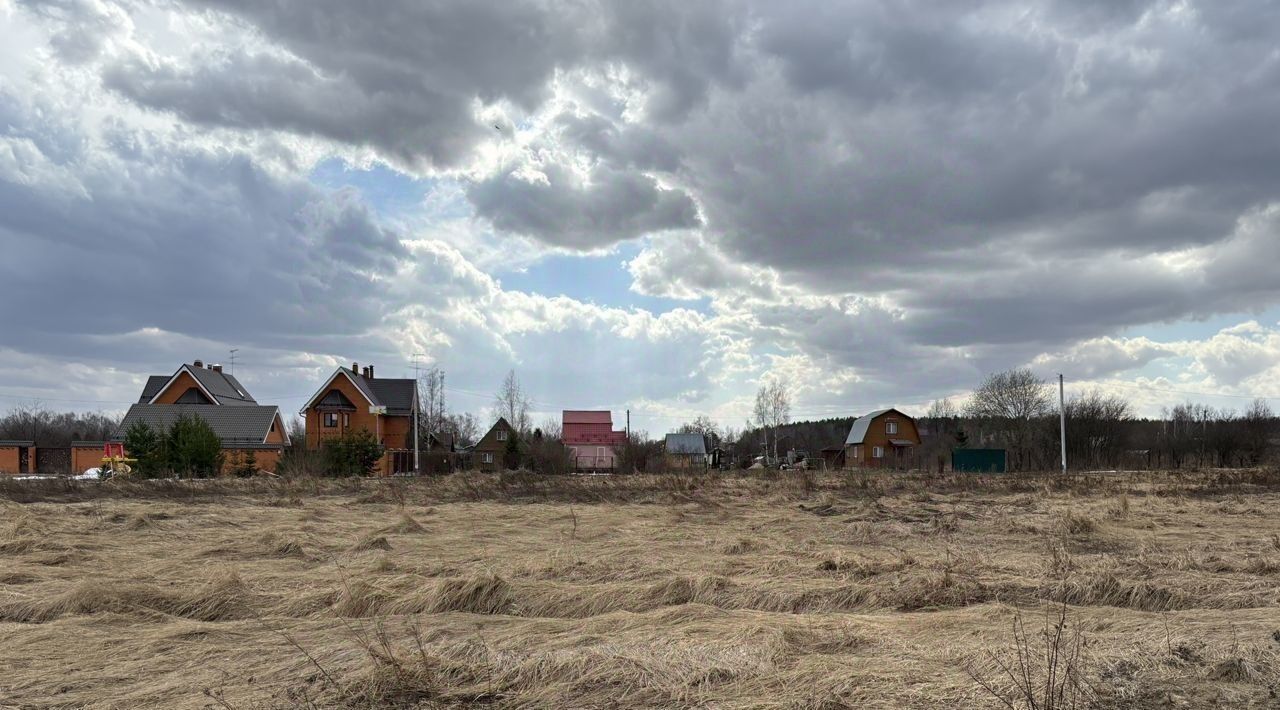 земля городской округ Раменский д Тяжино ул Ежевичная фото 3