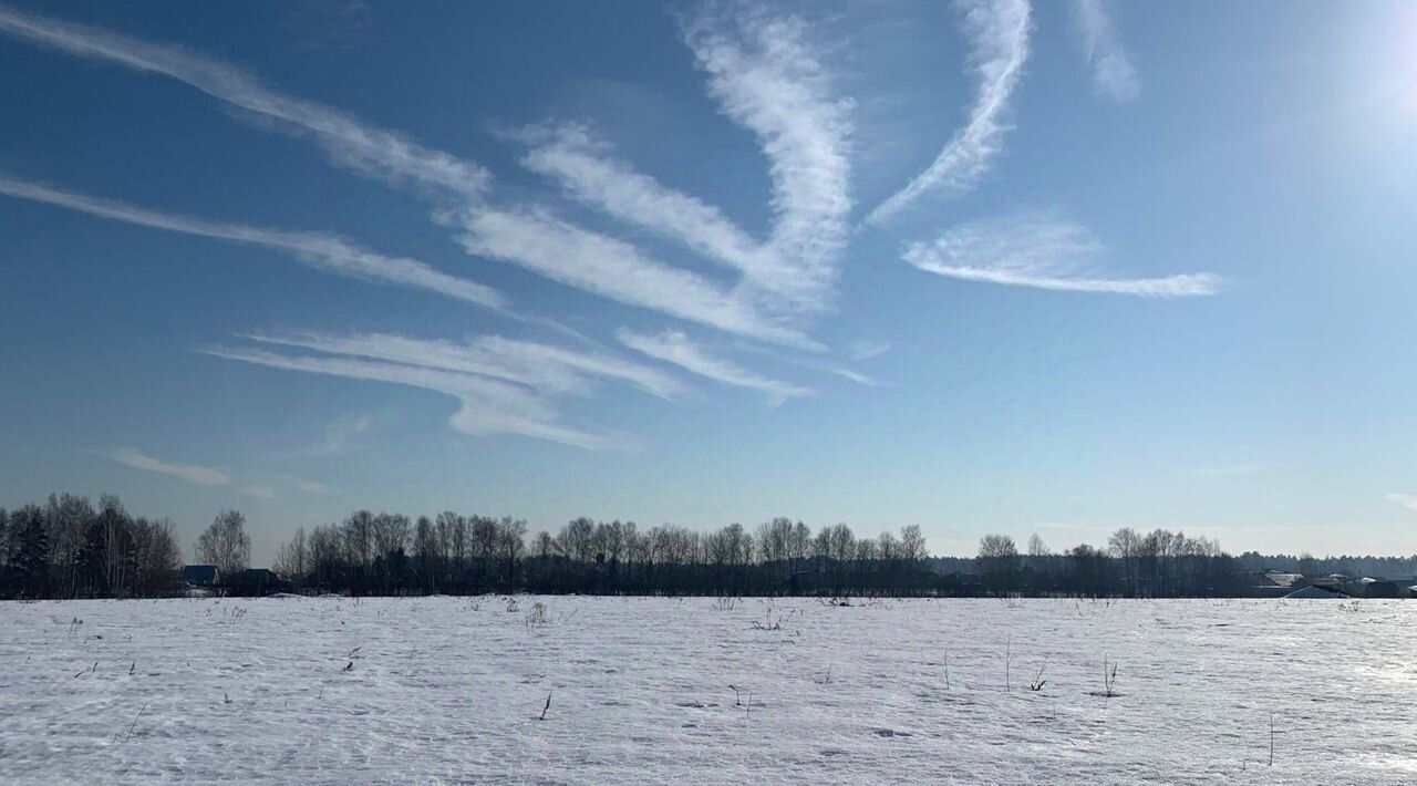 земля городской округ Щёлково д Орлово ул Луговая 126 фото 5